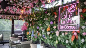 Instaworthy café i Odense